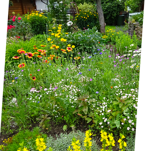 Kleingarten - Naturnahes Gärtnern