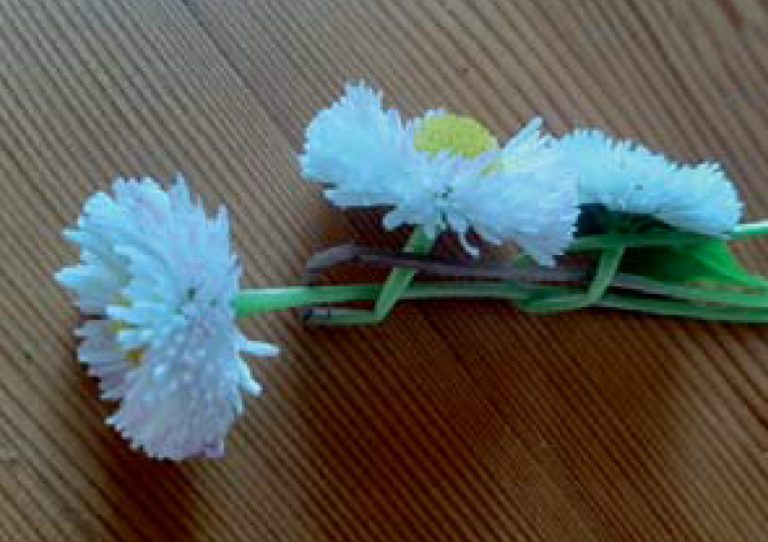 Kinderseite - Blumenkränze flechten