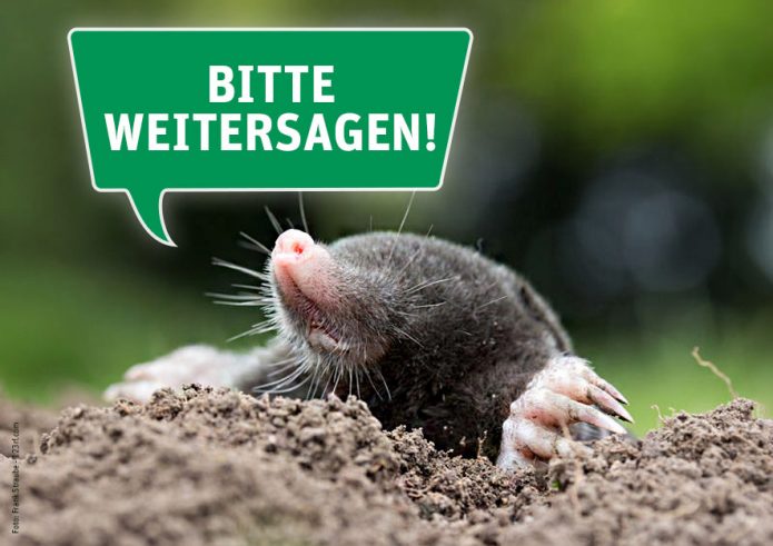 LSK-Nachrichten | Bitte Weitersagen!