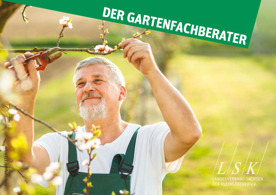 Der Gartenfachberater mit Fachberaterausbildung im Kleingarten