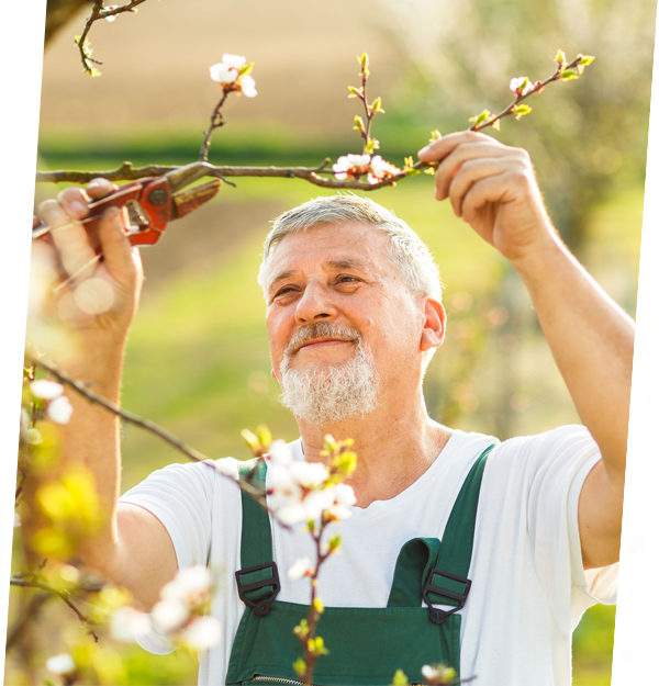 Gartenfachberater Ausbildung & Termine