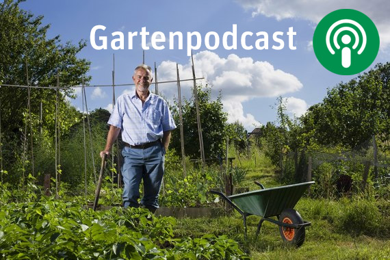 Gartenpodcast - Sächsische Gartenakademie