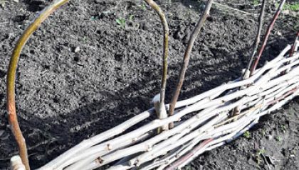 Beetbegrenzung im Kleingarten bauen - Gebogene Zweige