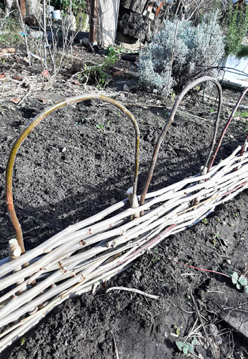 Beetbegrenzung im Kleingarten bauen - Gebogene Zweige