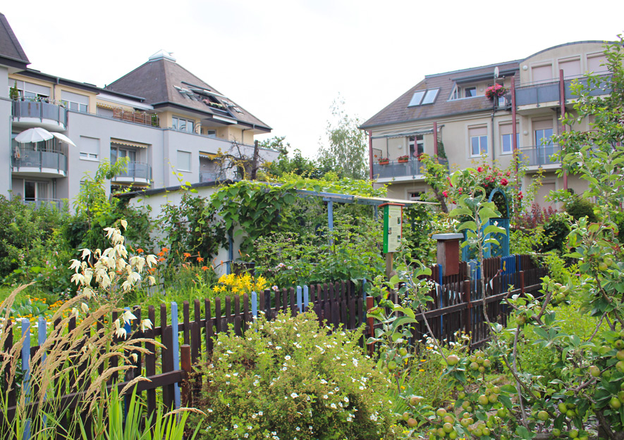 Kleingärten in städtischen Strukturen