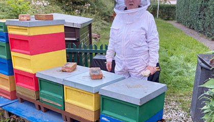 KGV Neuland – Bienen mit Gesundheitspass