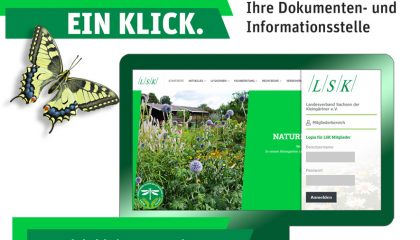 Interner Vereinsbereich auf der LSK Webseite