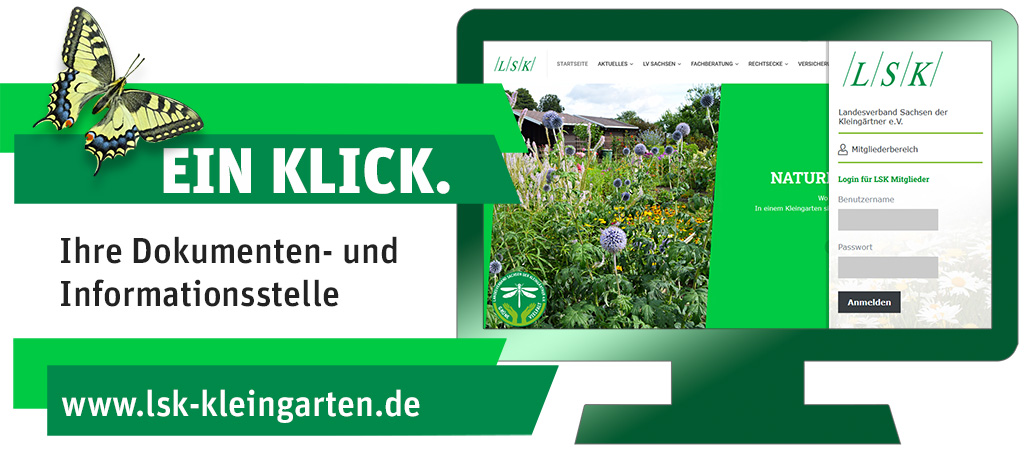 Interner Vereinsbereich - LSK Webseite