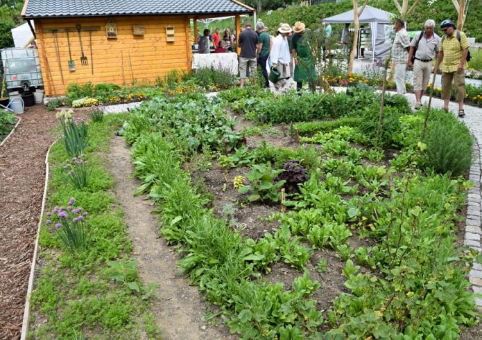 Gemüsebeet in Mischkultur