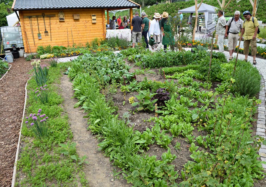 Gemüsebeet in Mischkultur