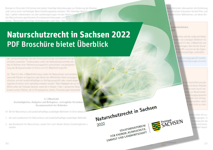 Naturschutzrecht in Sachsen 2022 – PDF-Broschüre bietet Überblick