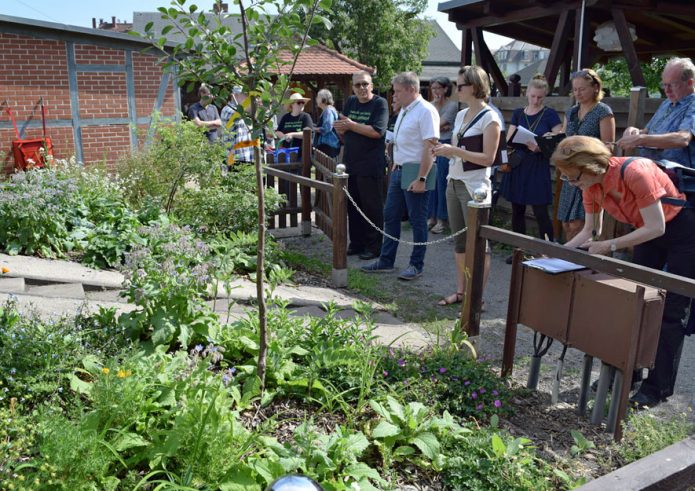 Stinsengarten in der "Flora I" Dresden