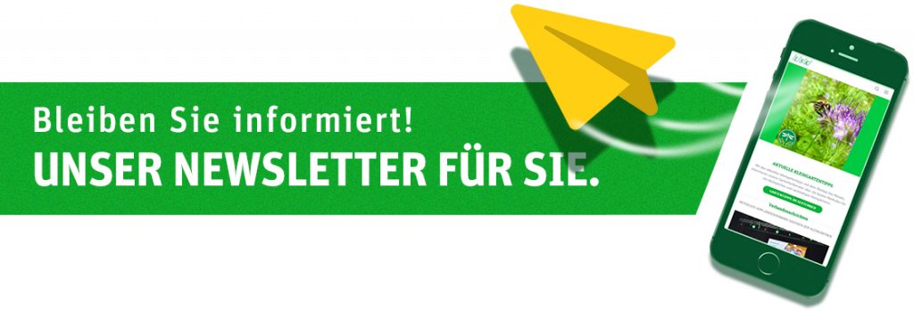 Landesverband Sachsen - Newsletter abonnieren