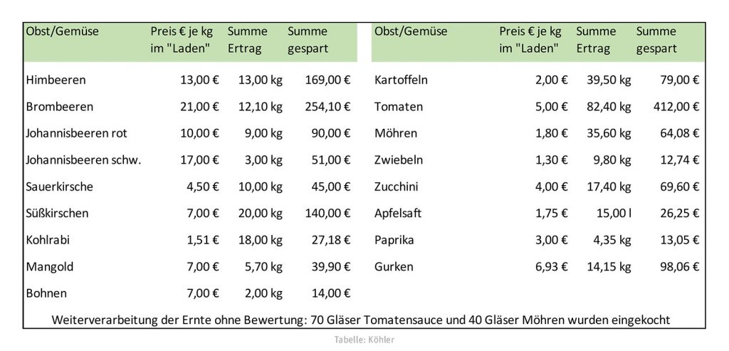 Ernteerfolge des Jahres 2022 aus meinem Kleingarten - Gewinnüberischt.