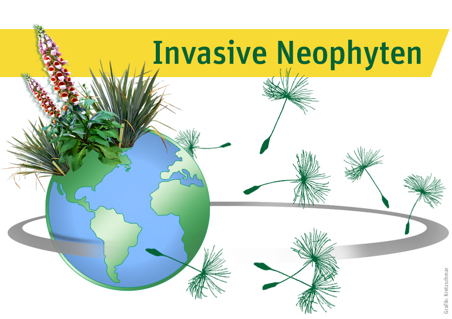 Gartenfachberatung - Invasive Neophyten