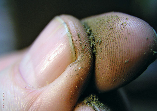 Sandige Bodenprobe - Fingerprobe