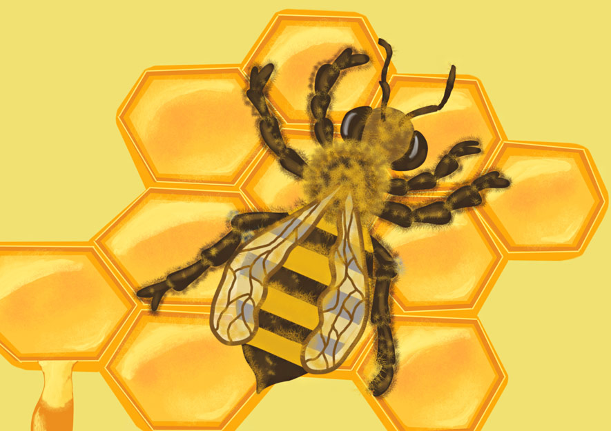 Biene Berta – Sachsens Kinderseite