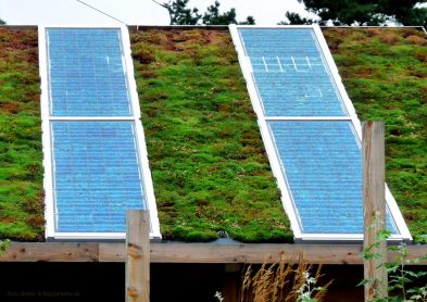 Solarpanele auf dem Dach einer Gartenlaube