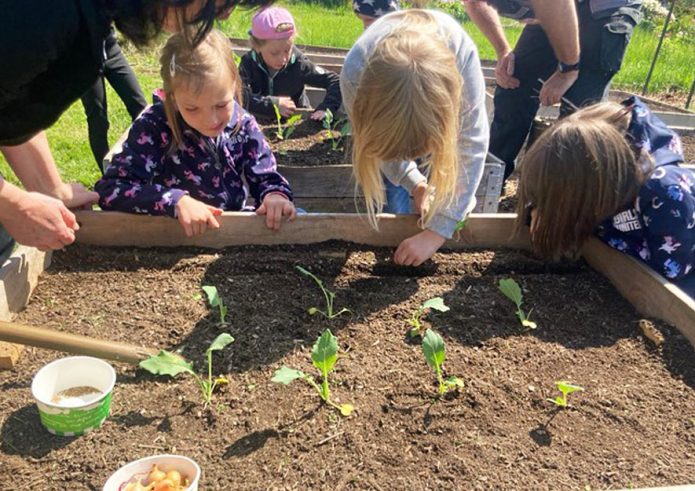 Schülergarten in einer Leerparzelle