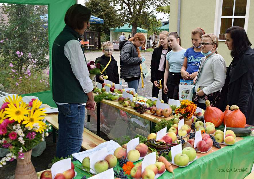 Lebensmittel sind wertvoll – So schmeckt es aus dem Kleingarten