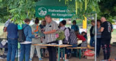 Parksommer Chemnitz