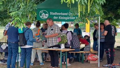 Parksommer Chemnitz