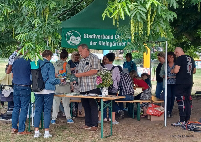 Parksommer Chemnitz