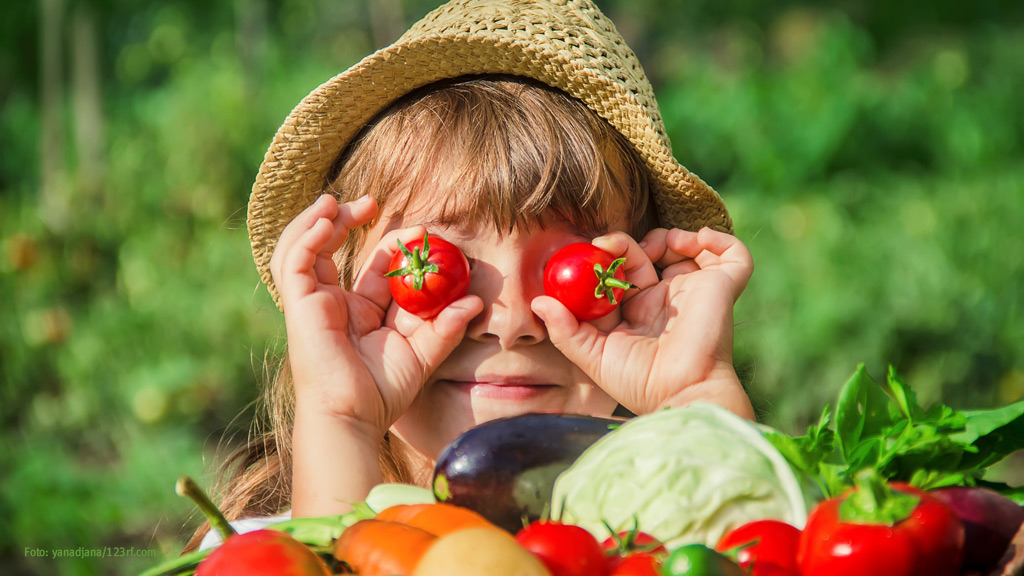 Unser Kleingarten – Neues aus der Gartenwelt