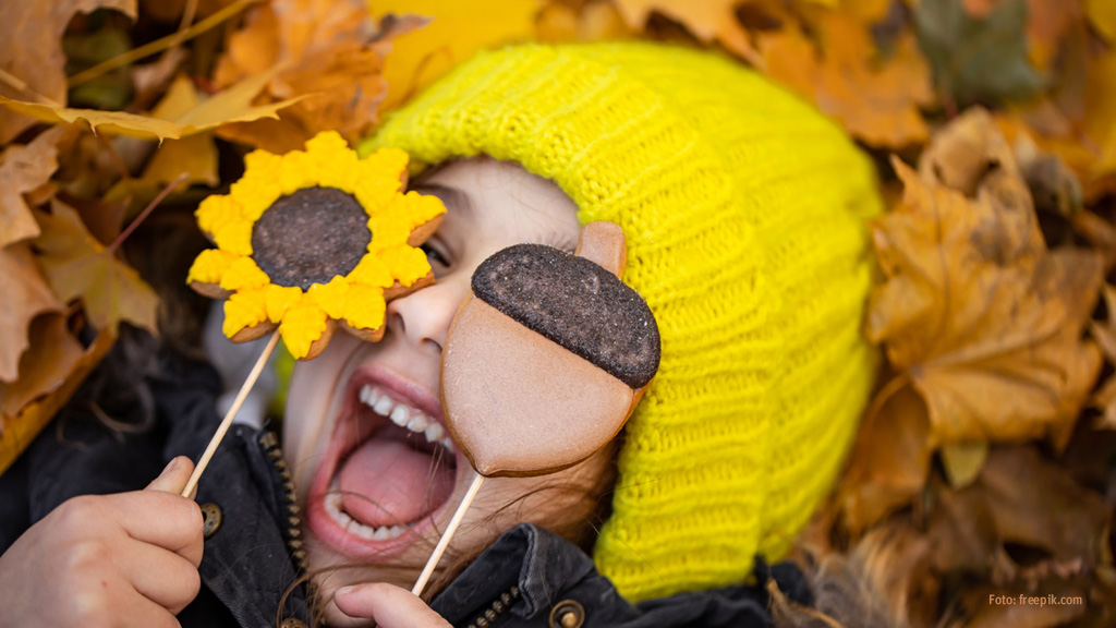 Kleingarten Vereinsleben - Unser Kleingarten