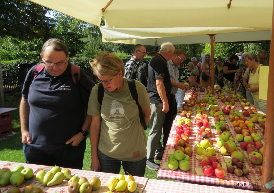 Besuch des Stadtverbands Chemnitz im Kleingärtnermuseum Leipzig