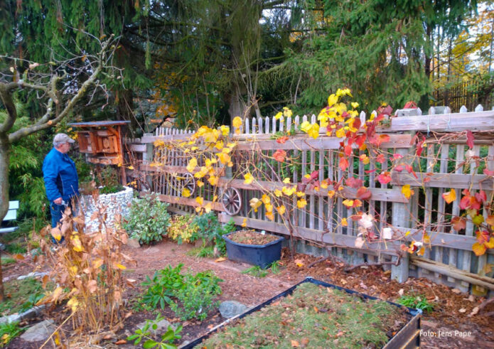 Weinschnitt-Workshop Chemnitz