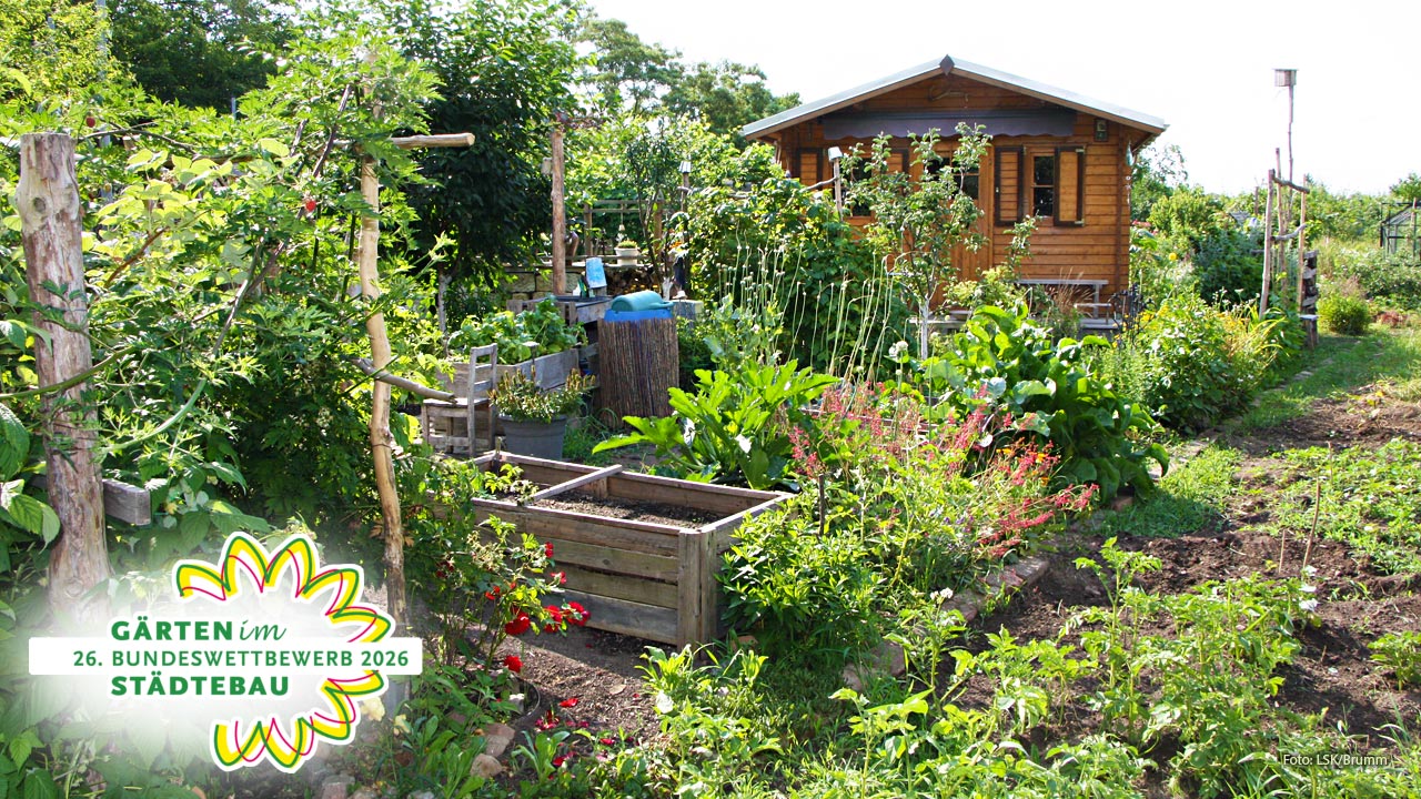 Bundeswettbewerb 2026: Sachsens Kleingärten im Fokus