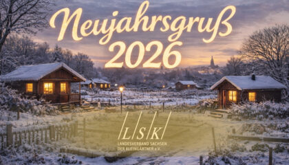 Neujahrsgruss 2026 - LSK