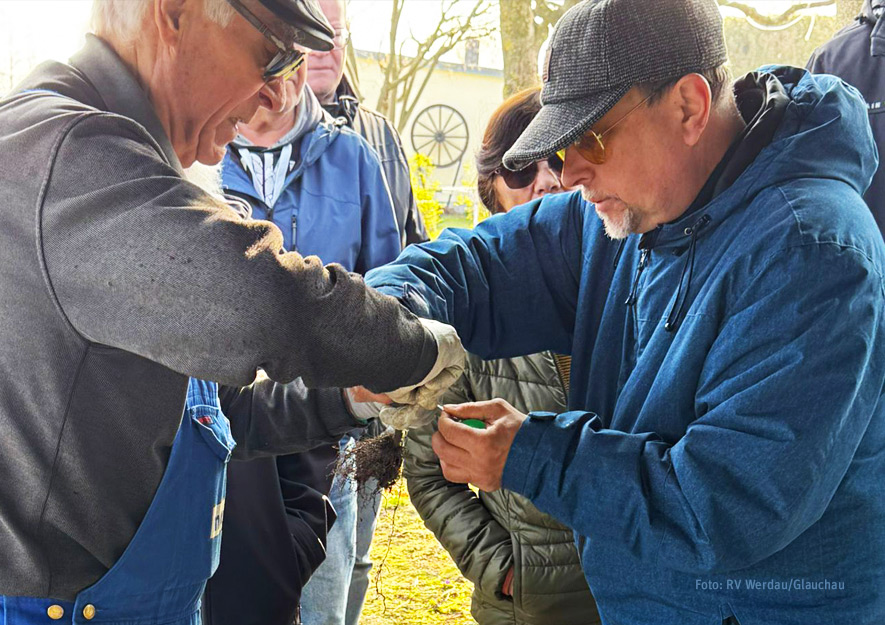 Obstbäume selbst veredeln