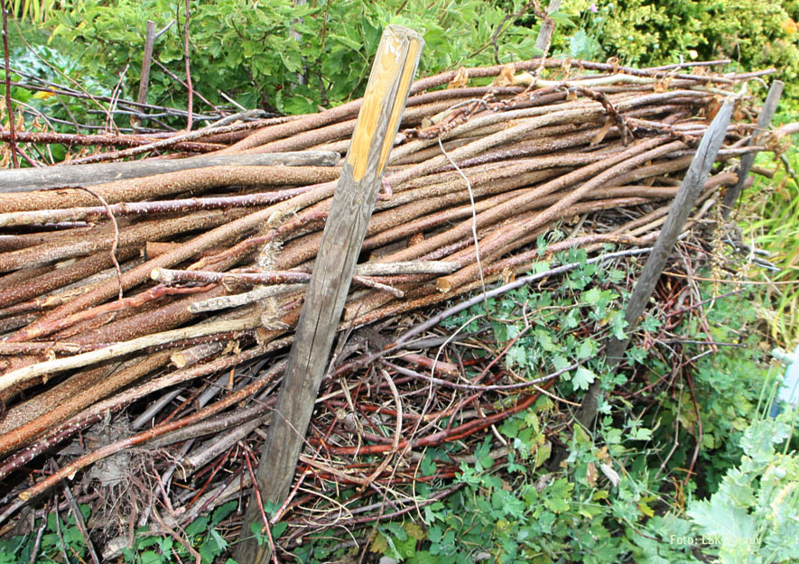 Ökologische Gartenelemente im Kleingarten