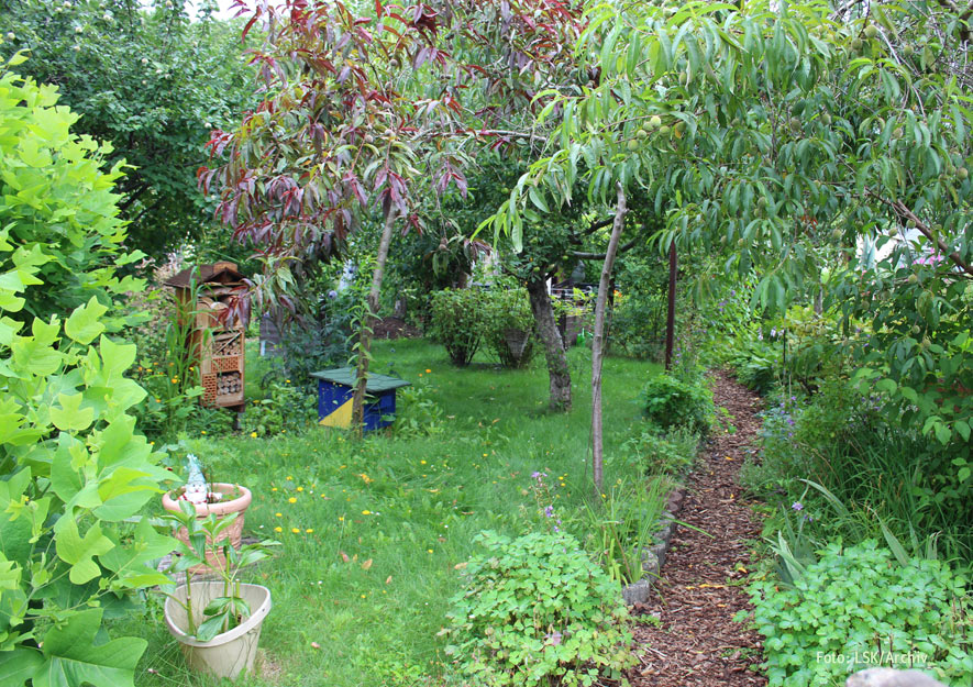 Ökologische Gartenelemente im Kleingarten