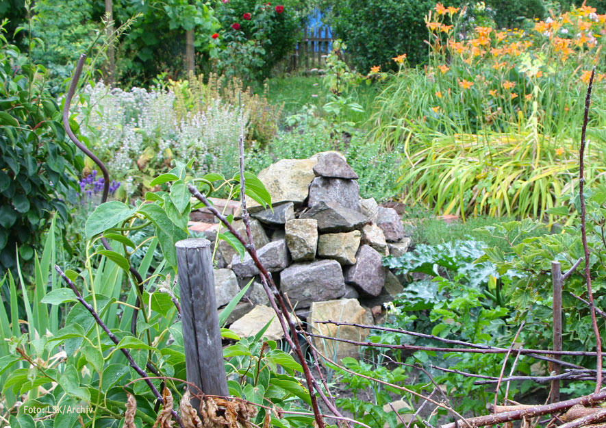 Ökologische Gartenelemente im Kleingarten