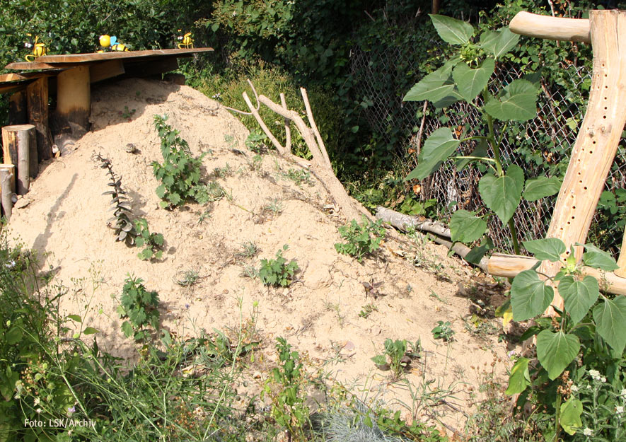 Ökologische Gartenelemente im Kleingarten