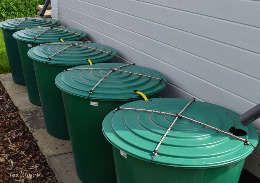 Ökologische Gartenelemente im Kleingarten