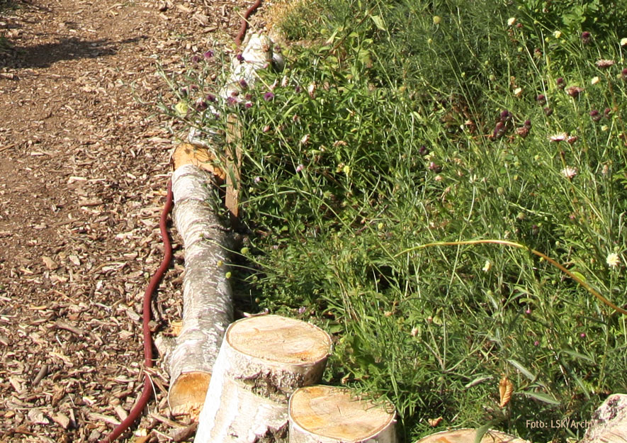 Ökologische Gartenelemente im Kleingarten