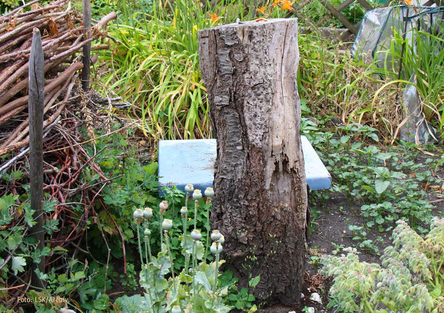 Ökologische Gartenelemente im Kleingarten