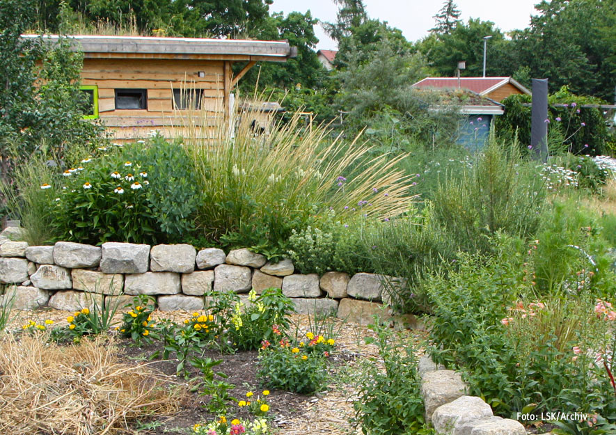 Ökologische Gartenelemente im Kleingarten