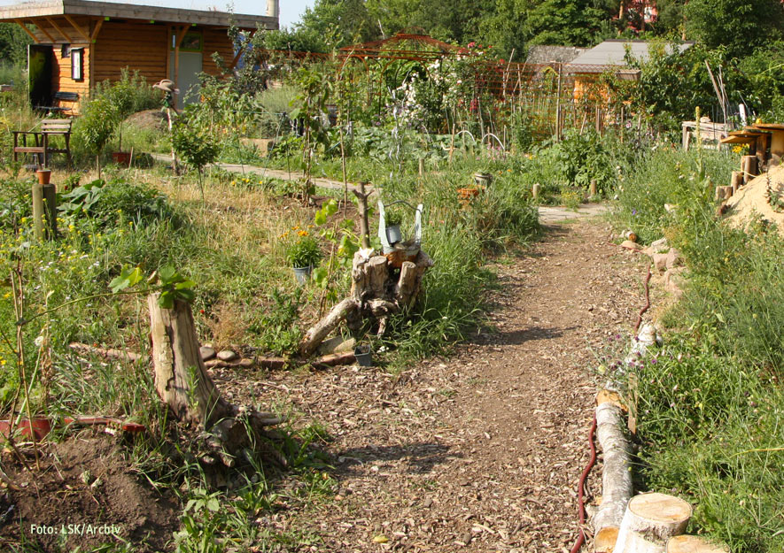 Ökologische Gartenelemente im Kleingarten