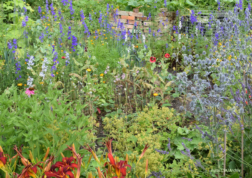 Ökologische Gartenelemente im Kleingarten