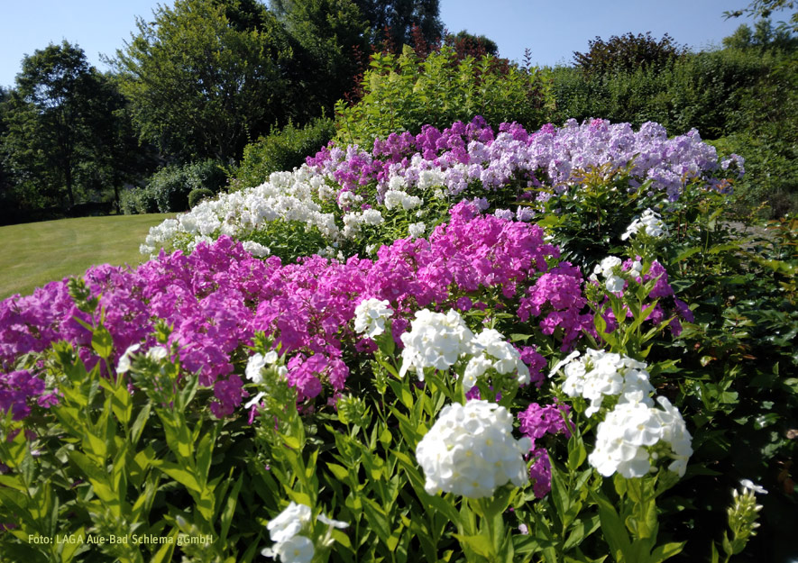Landesgartenschau 2027 in Aue-Bad Schlema