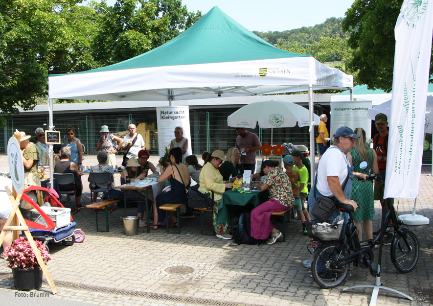 Fachberatertreffen beim Pillnitzer Gartentag 2026