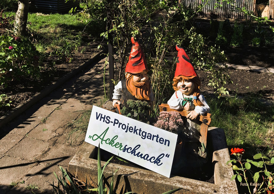 13. Kleingartenwandertag in Dresden