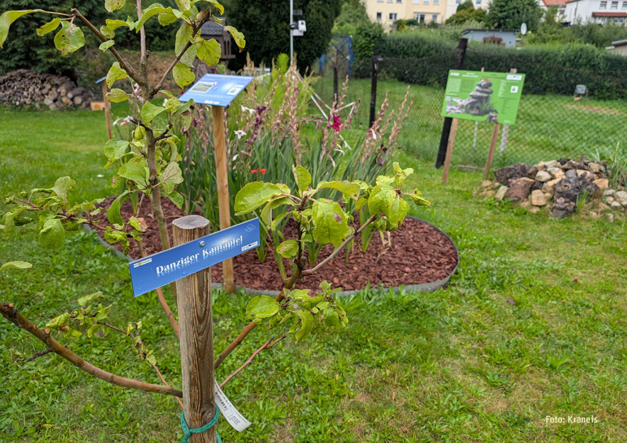 Garten-Campus in Görlitz eröffnet