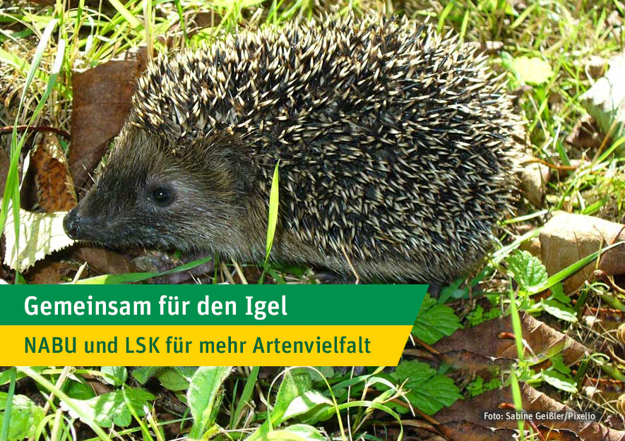 Gemeinsam für den Igel