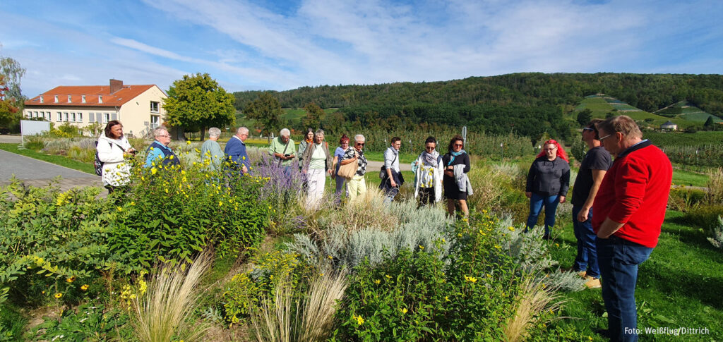 Ausflug zur Gartenakademie Pillnitz